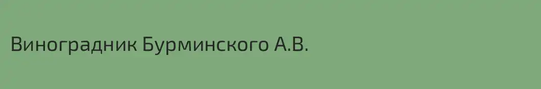 Виноградник Бурминского А.В.
